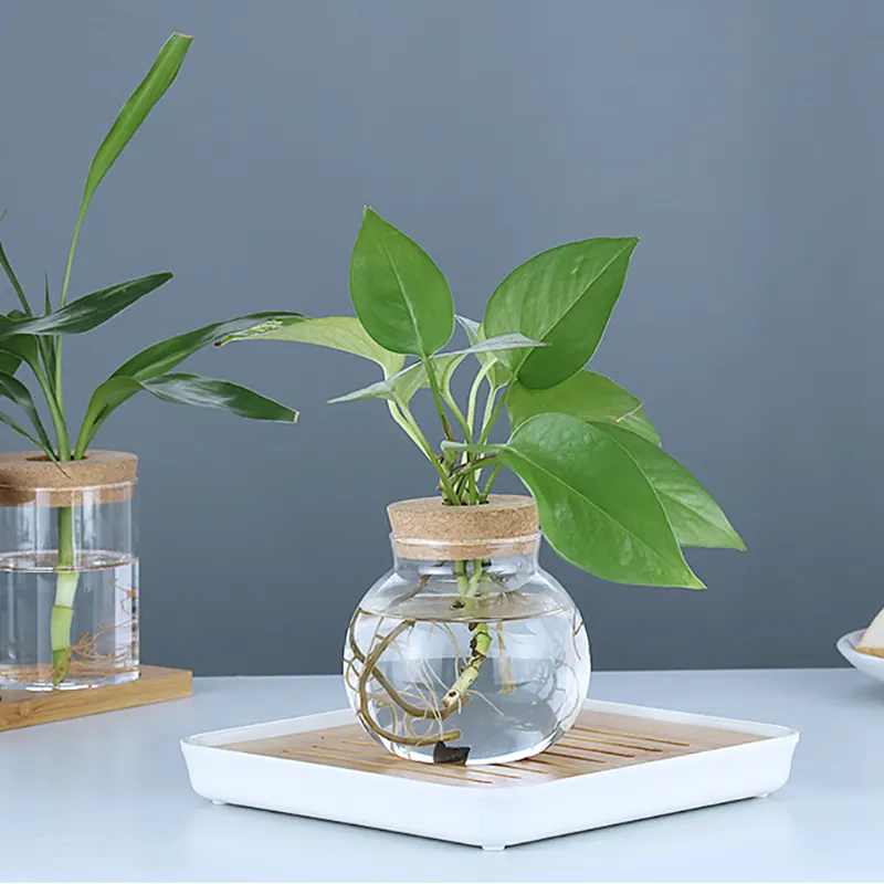 Aangepaste Grootte Nieuwe Vorm Ontwikkeling Hydrocultuur Groeiende Vazen Plant Terrarium Glas Vaas Glas En Kristallen Vazen De Hele Dag Nordic