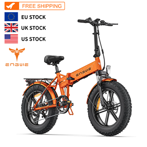 Bicicleta Eléctrica EP-2 Pro de 250W y 20 Pulgadas, Versión EU, 48V13A, 25km/h, Neumáticos Anchos para Montaña, Personalizable con Logotipo, Lista para Enviar - Product Image 1