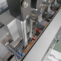 Machine d'emballage de liquides à voies multiples Machine d'emballage de liquides pour shampoing, sachets et conditionneurs pour cheveux, ketchup, miel