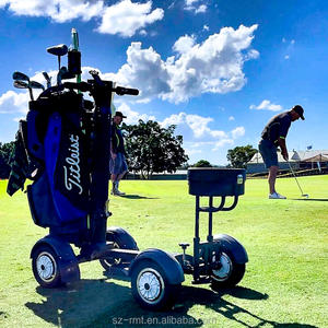 Voiturette de golf électrique en aluminium RMT M12-1 de 10 pouces, batterie au lithium 2000W, capacité de charge de 150 kg, <span class=keywords><strong>buggy</strong></span> pliable, autonomie de 18 trous - Product Image 5