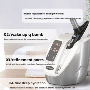 2025 Hot Sale New for Home Promotional Price Hair & Facial Care 3 in 1 Electroperforation Beauty Therapy Beauty Machine - Product Image 3