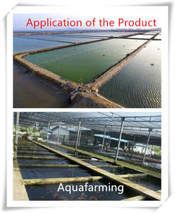 Groothandel In Mixed <span class=keywords><strong>Feed</strong></span> Additive Residu Ontgiften Degraderen Medicijnresten En Bevorderen De Groei Van Vissen En Garnalendieren - Product Image 5