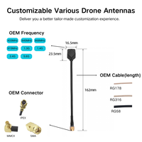 Antenne FPV UAV 5,8 GHz à gain élevé 10dBi, omnidirectionnelle, polarisation verticale, 50 Ohm, VSWR≤1,5, ABS, fréquence personnalisée, OEM
