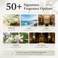 Diffuseur de parfum à libération lente pour éliminer les odeurs, design minimaliste, placement multi-espaces, pour armoire, coiffeuse, décoration, parfum de voiture
