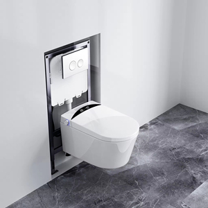Luxury Wall-mounted Smart Toilet Water-saving Ceramic <b>Suspended</b> With Dual-Flush Heated Seat Remote Control Included 19ST Dual-Fl - Product Image 5