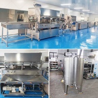 Machine à enrober le chocolat 5 Beck pour dattes, fruits lyophilisés et fruits secs, avec fonction de fondage et d'enrobage de fruits secs