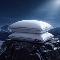 Matelas à soutien ferme blanc |   Coussin de qualité hôtelière en alternative au duvet, avec soufflets, garnissage moelleux et volumineux, certifié Oeko-Tex, idéal pour les dormeurs latéraux