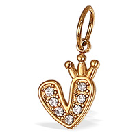 Pendentif en acier inoxydable personnalisé BJG0618N avec zircon, plaqué or 18 carats, pour la fabrication de bracelets, breloque DIY