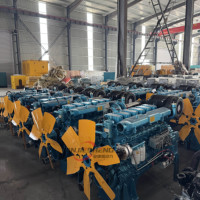 Groupe électrogène diesel Weichai remanufacturé avec moteurs Steyr, ouvert ou super silencieux, 60 kW, 100 kW, 160 kW, 200 kW, prix abordable
