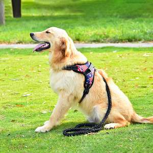 Arnés de Nailon a Rayas para Perro, Transpirable y Ajustable, Diseño Táctico, Cintas Resistentes a Explosiones - Product Image 4