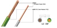 Fil électrique en cuivre pur 7 Hilis Stranded 12AWG 600V PVC, rouleau de 100m pour applications industrielles et de construction