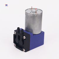 Machine à eau sans balais 3.7V, 6V, 12V, 24V, fabriquée en usine, Machine de purification d'eau, infuseur de thé, Mini pompe à eau