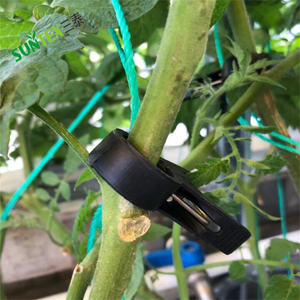 Clips <span class=keywords><strong>de</strong></span> treillis pour tomates <span class=keywords><strong>de</strong></span> jardin potager, clips agricoles, clips <span class=keywords><strong>de</strong></span> greffage pour tomates - Product Image 5