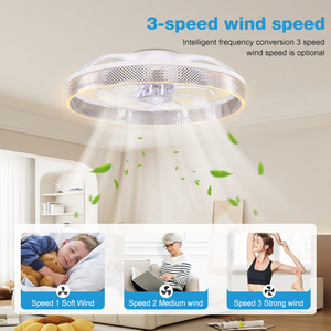 Ventilateur de plafond LED 13 pouces avec lumière, 3 vitesses, IPX0, moteur ABS, 5 pales, style simple, personnalisable OEM ODM pour chambre à coucher W25 - Product Image 2