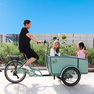 Tricycle cargo électrique CE, <span class=keywords><strong>vélo</strong></span> cargo électrique hollandais à 3 roues, <span class=keywords><strong>vélo</strong></span> familial Bakfiet, remorque, <span class=keywords><strong>vélo</strong></span> cargo électrique, <span class=keywords><strong>vélo</strong></span> électrique avec <span class=keywords><strong>housse</strong></span> de pluie - Product Image 1
