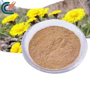 Saf doğal geleneksel ot ortak <span class=keywords><strong>Coltsfoot</strong></span> çiçek özü tozu öksürük için iyi - Product Image 3