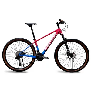 Bicycle Supplier Carbon Fiber Mountain bicycle OEM 27.5 inch carbon frame mountain bike with 33 speed Shifter