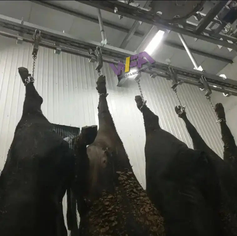 Équipement complet d'abattoir de viande de bœuf halal avec machines d'abattage de vaches