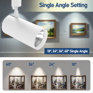 Lámpara de Riel LED COB de Alta Calidad, 30W, 3 Potencias, 5 Temperaturas de Color, con Certificación DLC para CRI>90, para Techo Comercial - Product Image 4