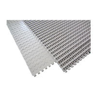 Courroie transporteuse modulaire en plastique AS-FLEX, nouveau matériau 5935 YS200-1, durable, antibactérienne, résistante à la chaleur, pour l'alimentation