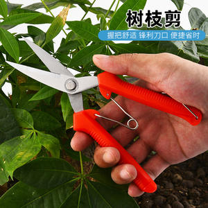 กรรไกรตัดกิ่งไม้ Hg แบบ Bypass ทำจากสแตนเลส สีแดง ขนาด 10-20 มม. สำหรับตัดแต่งกิ่งไม้ผลในสวน - Product Image 1