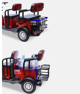 Triciclo Eléctrico de 3 Ruedas con Carrocería Cerrada, Motor sin Escobillas de 600W de Alta Potencia, 48V 20AH, Nuevo Estilo, para Adultos - Product Image 6