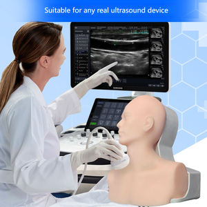 Modèle d'entraînement en silicone pour le cou et le torse, pour la pratique de la cathétérisme veineux central guidé par échographie, destiné à l'apprentissage des compétences chirurgicales - Product Image 2