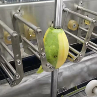 Automatische industriële mango-, avocado- en appelenschilmachine met hoge efficiëntie