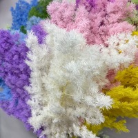 Liviflo Cadeau pour invités Mariage Plante naturelle véritable Fleur stabilisée Pin de Penglai - Décoration Fête des Mères, Saint-Valentin, Noël et Pâques