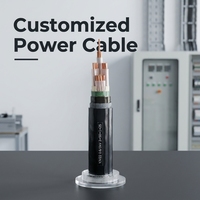 YJV22 YJV 0,6/1KV 4 + 1 núcleo 16mm/25mm/35mm/50 mm70 mm/95mm/120mm/150mm/185mm/240mm 2/3/4 núcleo cable de alimentación de cinta de cobre y acero