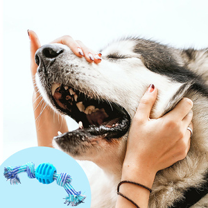 Giocattolo per cani in cotone a doppio nodo, palla giocattolo per cani, pulizia dei denti, giocattoli da masticare - Product Image 2