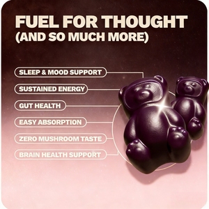 <span class=keywords><strong>Prix</strong></span> d'usine – Gummies véganes 10-en-1 à la framboise, aux champignons et à l'ashwagandha pour le soutien immunitaire et la gestion de l'énergie - Product Image 4