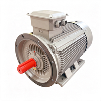 Moteur à induction à cage d'écureuil refroidi par air haute efficacité 220V 380V 250kW 315kW 500kW IP55 pour l'exploitation minière et la métallurgie