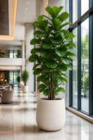 Pot de fleurs rond moderne, lisse et cannelé, pour plantes d'intérieur, plusieurs tailles, pour la décoration de la maison, du bureau, de l'hôtel, vente en gros