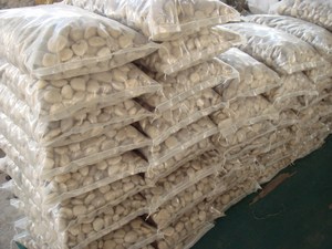 White <strong>Polished</strong> Types of Pebbles <strong>Stone</strong> Clean Serene Versatile Stones for Tranquil Gardens Water Features Decorative Landscaping - Product Image 6