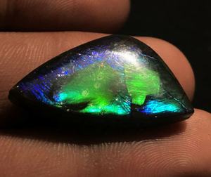 Canadien naturel Ammolite Forme Libre Cabochons Pierres Précieuses En Vrac - Product Image 2