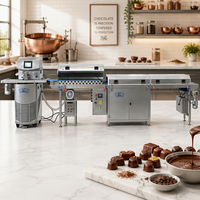 Machine professionnelle industrielle de tempérage et de fusion du chocolat, nouvelle capacité de 25 L, en acier inoxydable de qualité alimentaire, avec surveillance à distance