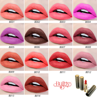 Nouveau rouge à lèvres nude longue durée de luxe mat et imperméable bâton crémeux sans gluten pour les lèvres pour le maquillage et la beauté