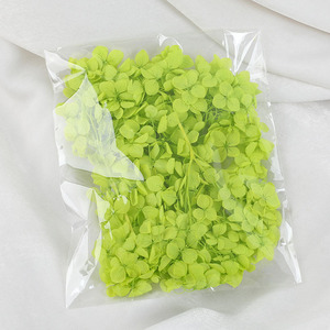 D143 artisanat naturel <span class=keywords><strong>fleurs</strong></span> <span class=keywords><strong>séchées</strong></span> pétales d'<span class=keywords><strong>hortensia</strong></span> artisanat matériaux de <span class=keywords><strong>fleurs</strong></span> <span class=keywords><strong>séchées</strong></span> <span class=keywords><strong>fleurs</strong></span> perpétuelles pétale d'<span class=keywords><strong>hortensia</strong></span> - Product Image 6