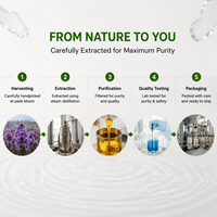 Huile Essentielle de Verveine en Gros d'Usine, 100% Pure et Naturelle, Huile de Feuilles de Verveine Biologique, Huile Essentielle de Verveine en Stock