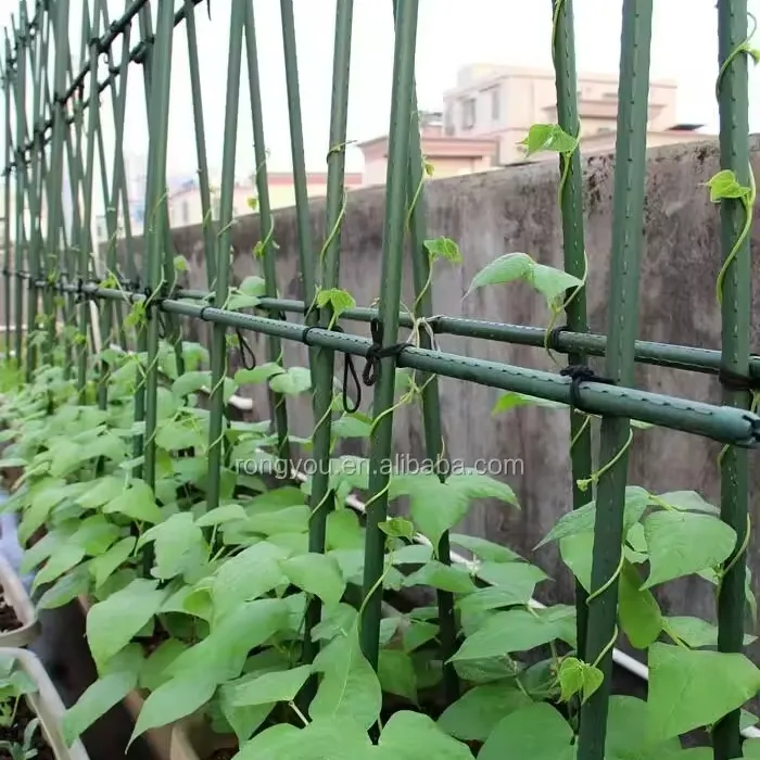 Fabrika satış plastik kaplı çelikhane destek bahis bahçe bahis çiçek domates bitki desteği