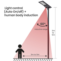 Farola Solar Integrada de 20W 30W 40W con Carga MPPT, Clasificación IP65, Construcción de Aluminio Fundido a Presión para Uso en Carreteras