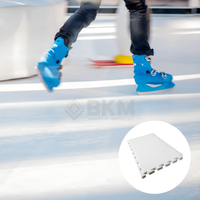 Dalles de patinoire synthétique en plastique UHMWPE 1000x1000mm pour l'entraînement au hockey