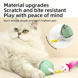 Nuovo Design di Lusso: Giocattolo Elettrico Ecologico per Gatti, Bastone Interattivo Automatico con Effetto Sonoro Realistico di Topo e Pallina - Product Image 5