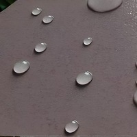 Revêtement Hydrophobe pour Pierre et Marbre, Protection Nano Imperméable Anti-Infiltration pour Comptoirs de Cuisine et de Salle de Bain