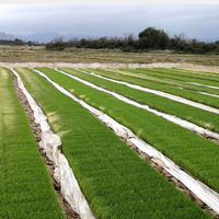 Tissu non tissé agricole, tissu non tissé en polypropylène (PP) spunbond, tissu de protection contre le froid pour fruits et légumes