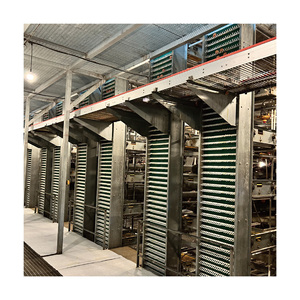 Système de batterie <span class=keywords><strong>motorisé</strong></span> <span class=keywords><strong>automatique</strong></span> en acier galvanisé à bon prix pour cages à poules pondeuses de type H - Product Image 1