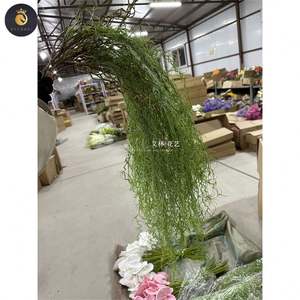 Simulazione aria <span class=keywords><strong>veccia</strong></span> selvaggia appesa Tillandsia usneoides soffitto appesa in stile Mori <span class=keywords><strong>pianta</strong></span> verde matrimonio morbido - Product Image 5