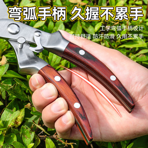 Yu Jian <b>Pruning</b> Shears Stainless Steel 5.2cm Rosewood Handle Butterfly Structure For Fruit <b>Trees</b> - Product Image 5