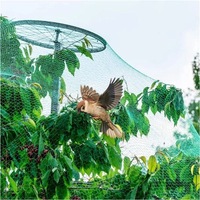 Filet anti-oiseaux en polyéthylène vert durable, imperméable, pour protéger les plantes des oiseaux, avec des types de plastique PE